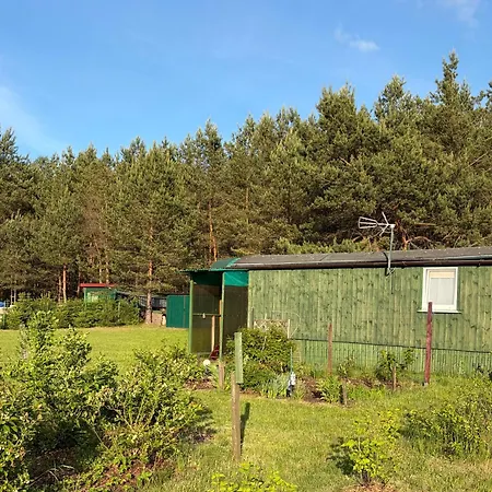 Lesny Woz Drzymaly Spore - 1500 M2 Terenu Na Wylacznosc!