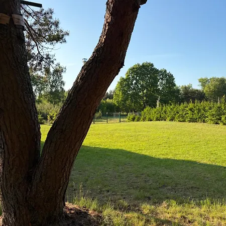 بيت للعطل Lesny Woz Drzymaly Spore - 1500 M2 Terenu Na Wylacznosc! شتيتشينيك
