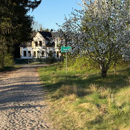 Lesny Woz Drzymaly Spore - 1500 M2 Terenu Na Wylacznosc! *
