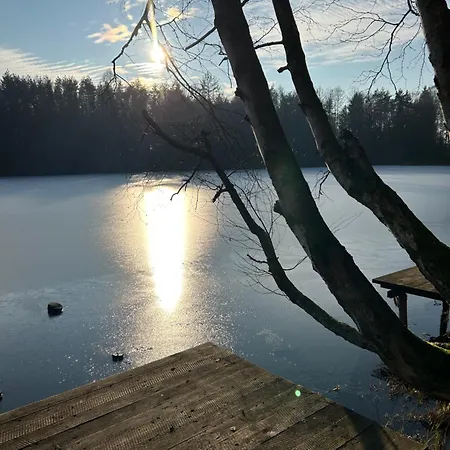 Lesny Woz Drzymaly Spore - 1500 M2 Terenu Na Wylacznosc! *